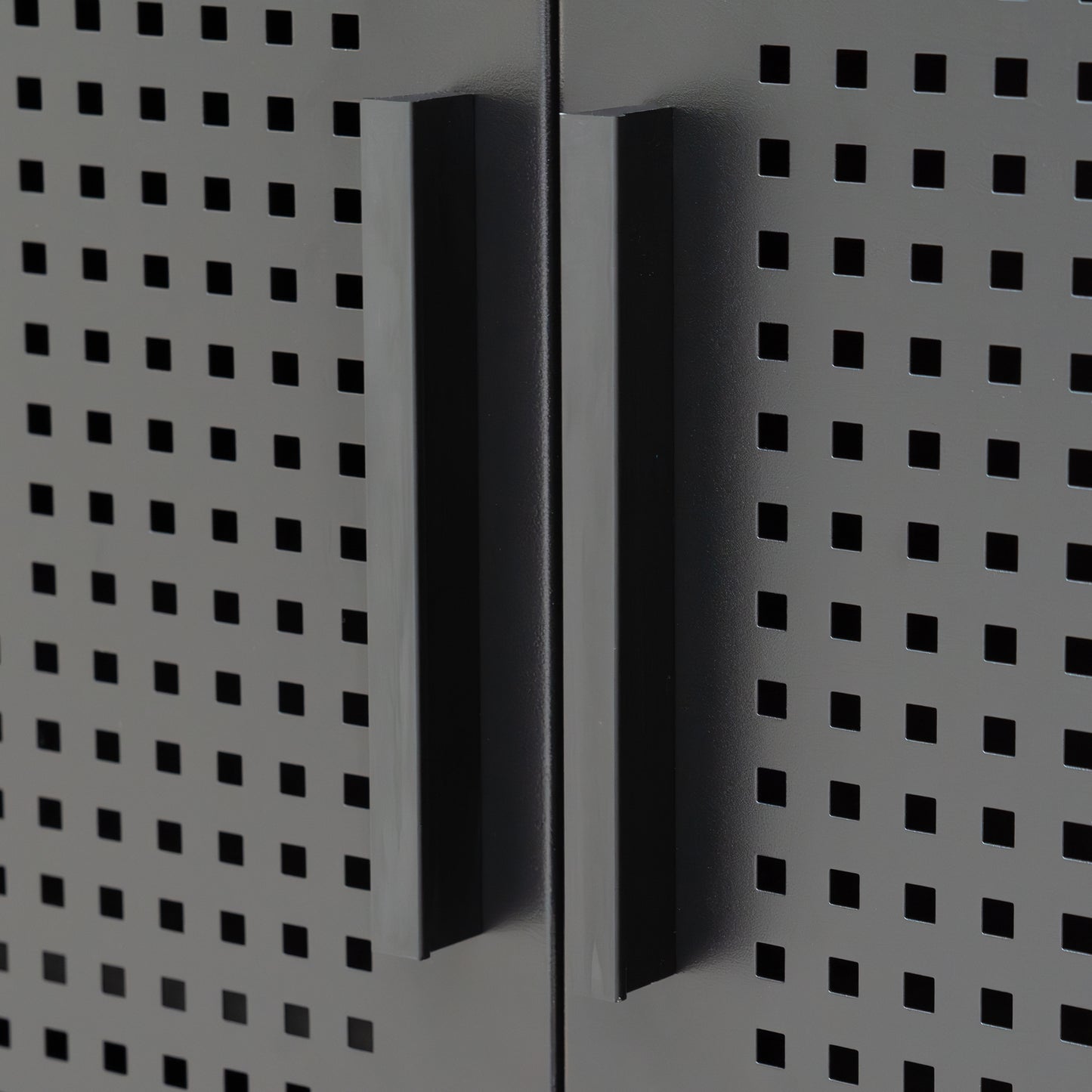 Metal Storage Cabinet with 2 Doors and 2 Adjustable Shelves