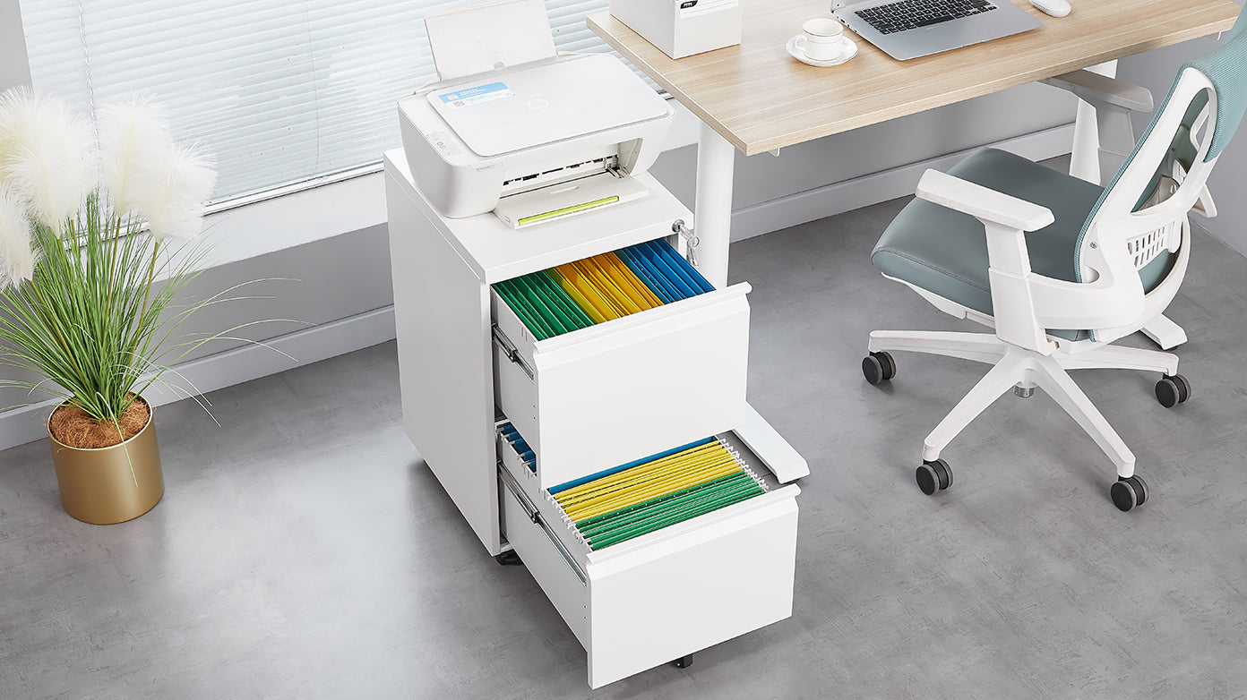 2 Drawer Mobile File Cabinet with Lock, Desk Office