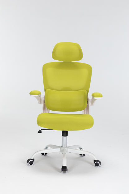 Ergonomic Mesh Office Chair with 3D Adjustable Lumbar Support