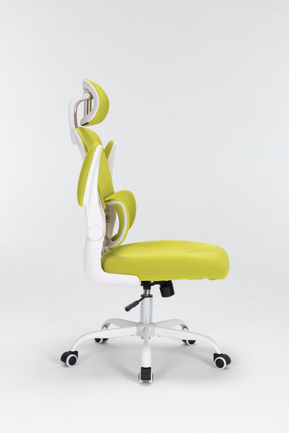 Ergonomic Mesh Office Chair with 3D Adjustable Lumbar Support