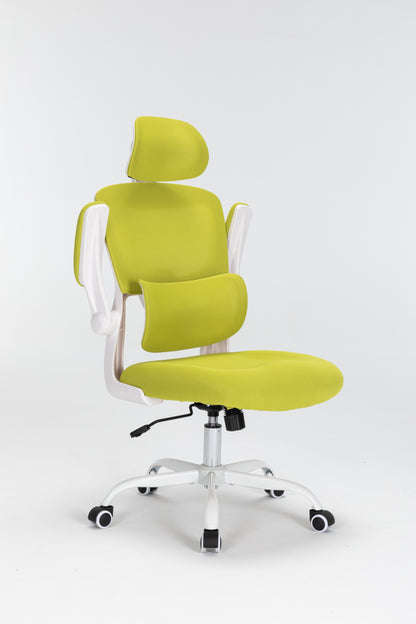 Ergonomic Mesh Office Chair with 3D Adjustable Lumbar Support