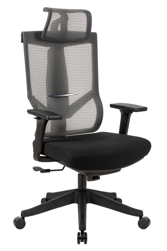 Executive office chair with headrest and 2D armrest