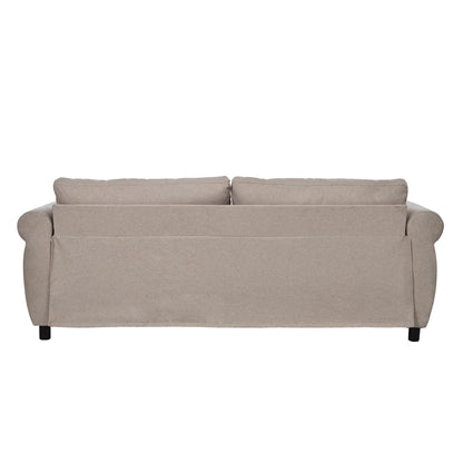 Sofa Bed Sleeper with Large Mattress for Living Room Spaces Bedroom